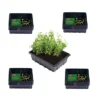 40 Small Seed Trays Half Size Plastic Seeding Starter Tray Reusable 21.5 X 17cm 2 40 Small Seed Trays Half Size Plastic Seeding Starter Tray Reusable 21.5 X 17cm -Draper Tool Shop 40 small seed trays half size plastic seeding starter tray reusable 21 5 x 17cm2200004345192 01c MP