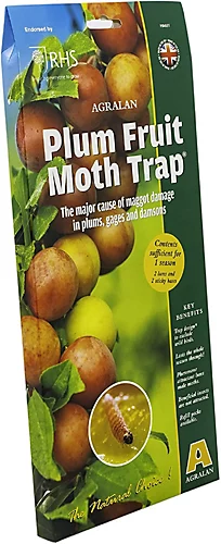 Agralan Plum Moth Trap Pack Of 1 3 Agralan Plum Moth Trap Pack Of 1