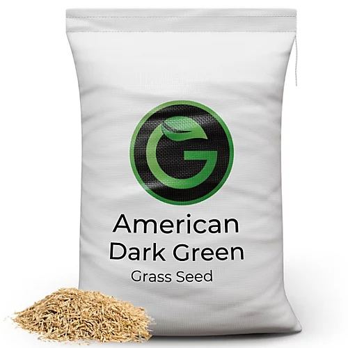 American Dark Green Grass Seed 5kg (70-200m²) 3 American Dark Green Grass Seed 5kg (70-200m²)