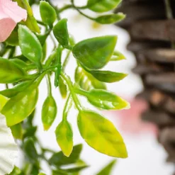 Artificial Petunia Flowers Rattan Hanging Basket Decoration Pink Purple & White 25cm -Draper Tool Shop artificial petunia flowers rattan hanging basket decoration pink purple white 25cm5055837297425 06c MP