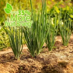 Baby Bio Outdoor Fruit And Vegetable Feed Concentrate 2 X 750 Ml -Draper Tool Shop baby bio outdoor fruit and vegetable feed concentrate 2 x 750 ml5059331216616 04c MP