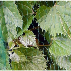 Bradas 100x4m Anti Bird Net Netting Tree Plant Fruit Protection Diamond Mesh -Draper Tool Shop bradas 100x4m anti bird net netting tree plant fruit protection diamond mesh5907544412335 02c MP