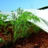 Bradas 3.2m X 5m Nonwoven Crop Cover Plant Frost Protection Fabric Insect Netting -Draper Tool Shop bradas 3 2m x 5m nonwoven crop cover plant frost protection fabric insect netting5907544400608 01c MP