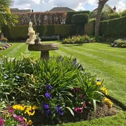 BS Bowling Green Grass Seed (1 X 2kg) -Draper Tool Shop bs bowling green grass seed 1 x 2kg 00004659 04c MP