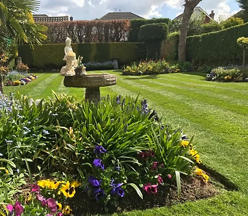 BS Bowling Green Grass Seed (1 X 5kg) 6 BS Bowling Green Grass Seed (1 X 5kg) - Image 4