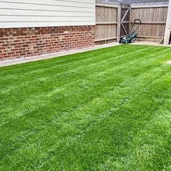 BS Childs Play Lawn Seed (5 X 20kg) -Draper Tool Shop bs childs play lawn seed 5 x 20kg 00004059 03c MP