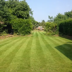 BS Childs Play Lawn Seed (5 X 20kg) -Draper Tool Shop bs childs play lawn seed 5 x 20kg 00004059 04c MP