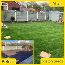 BS Economy Grass Seed (1 X 20kg) 9 BS Economy Grass Seed (1 X 20kg) -Draper Tool Shop bs economy grass seed 1 x 20kg 00003518 06c MP