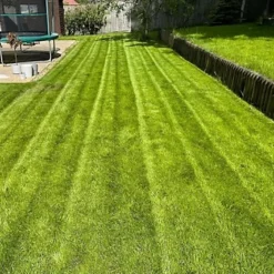 BS Economy Grass Seed (5 X 20kg) 9 BS Economy Grass Seed (5 X 20kg) -Draper Tool Shop bs economy grass seed 5 x 20kg 00004055 06c MP