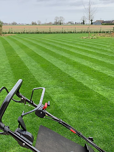 BS Premier Lawn Grass Seed (1 X 10kg) 5 BS Premier Lawn Grass Seed (1 X 10kg) - Image 3