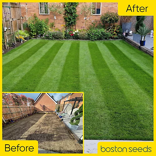 BS Premier Lawn Grass Seed (1 X 2kg) 6 BS Premier Lawn Grass Seed (1 X 2kg) - Image 4