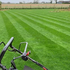 BS Premier Lawn Grass Seed (1 X 5kg) 8 BS Premier Lawn Grass Seed (1 X 5kg) -Draper Tool Shop bs premier lawn grass seed 1 x 5kg 24042312 03c MP