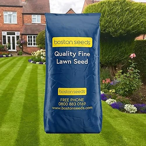 BS Quality Fine Lawn Seed (1 X 20kg) 3 BS Quality Fine Lawn Seed (1 X 20kg)