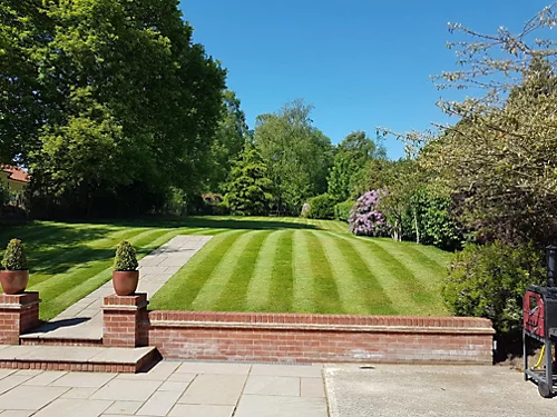 BS Quality Fine Lawn Seed (1 X 20kg) 4 BS Quality Fine Lawn Seed (1 X 20kg) - Image 2