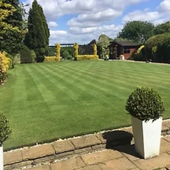 BS Quality Fine Lawn Seed (1 X 20kg) 9 BS Quality Fine Lawn Seed (1 X 20kg) -Draper Tool Shop bs quality fine lawn seed 1 x 20kg 00003535 06c MP