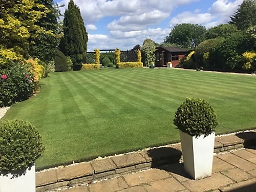 BS Quality Fine Lawn Seed (1 X 20kg) 6 BS Quality Fine Lawn Seed (1 X 20kg) - Image 4