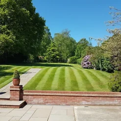 BS Quality Fine Lawn Seed (5 X 20kg) -Draper Tool Shop bs quality fine lawn seed 5 x 20kg 00004058 02c MP