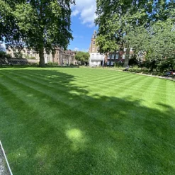 BS Quality Hard Wearing Lawn Seed (5 X 20kg) -Draper Tool Shop bs quality hard wearing lawn seed 5 x 20kg 00004056 03c MP