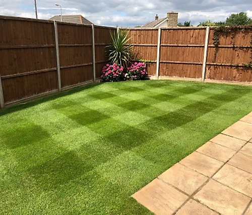 BS Renovator - Lawn Repair Grass Seed (1 X 5kg) 5 BS Renovator - Lawn Repair Grass Seed (1 X 5kg) - Image 3