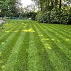 BS Shady Place Grass Seed (1 X 10kg) -Draper Tool Shop bs shady place grass seed 1 x 10kg 00003545 02c MP