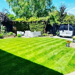 BS Shady Place Grass Seed (1 X 10kg) -Draper Tool Shop bs shady place grass seed 1 x 10kg 00003545 06c MP