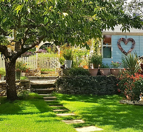 BS Shady Place Grass Seed (1 X 2kg) 5 BS Shady Place Grass Seed (1 X 2kg) - Image 3