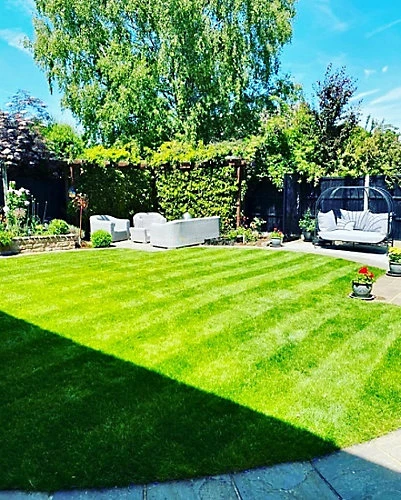 BS Shady Place Grass Seed (1 X 2kg) 6 BS Shady Place Grass Seed (1 X 2kg) - Image 4