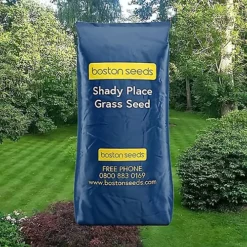 BS Shady Place Grass Seed (1 X 5kg) -Draper Tool Shop bs shady place grass seed 1 x 5kg 00003544 02c MP