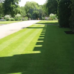 BS Slow Grow And Wildflower Companion Grass Seed (1 X 10kg) -Draper Tool Shop bs slow grow and wildflower companion grass seed 1 x 10kg 00003550 03c MP