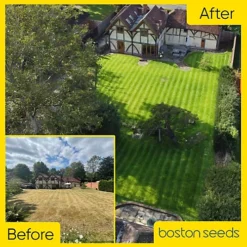 BS Slow Grow And Wildflower Companion Grass Seed (1 X 2kg) 8 BS Slow Grow And Wildflower Companion Grass Seed (1 X 2kg) -Draper Tool Shop bs slow grow and wildflower companion grass seed 1 x 2kg 00004658 03c MP