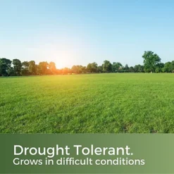 Clay King Grass Seed For Clay Soil 5kg (70-200m²) -Draper Tool Shop clay king grass seed for clay soil 5kg 70 200m 5065007977255 03c MP