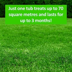 Cleenly Grass Greening Granules Lawn Fertiliser - Superfood To Make Grass Greener, Stronger & Healthier 2.5kg 7 Cleenly Grass Greening Granules Lawn Fertiliser - Superfood To Make Grass Greener, Stronger & Healthier 2.5kg -Draper Tool Shop cleenly grass greening granules lawn fertiliser superfood to make grass greener stronger healthier 2 5kg5056411326685 02c MP