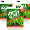 Cleenly Iron Sulphate Lawn Tonic Liquid - Transforms Lawns, Hardens Turf And Greens Grass 15L -Draper Tool Shop cleenly iron sulphate lawn tonic liquid transforms lawns hardens turf and greens grass 15l5056411326968 01c MP