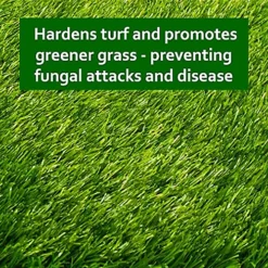 Cleenly Iron Sulphate Lawn Tonic Liquid - Transforms Lawns, Hardens Turf And Greens Grass 5L -Draper Tool Shop cleenly iron sulphate lawn tonic liquid transforms lawns hardens turf and greens grass 5l5056411326944 03c MP