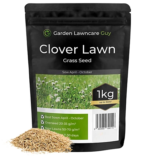 Clover Lawn Seed - Grass Seed & White Clover 3 Clover Lawn Seed - Grass Seed & White Clover