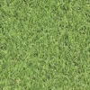 Dennis Medium Density Artificial Grass (L)4m (W)1m (T)22mm -Draper Tool Shop dennis medium density artificial grass l 4m w 1m t 22mm3663602425175 36c