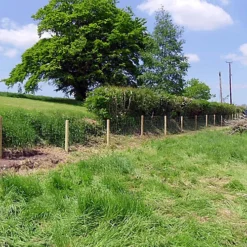 Easipet Galvanised Stock Fencing L8/80/15 For Sheep/Pig/Livestock 80cm High, 50m Long 8 Easipet Galvanised Stock Fencing L8/80/15 For Sheep/Pig/Livestock 80cm High, 50m Long -Draper Tool Shop easipet galvanised stock fencing l8 80 15 for sheep pig livestock 80cm high 50m long5060477742310 03c MP