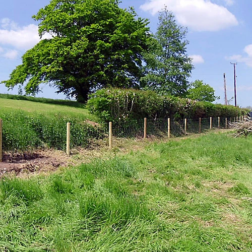 Easipet Galvanised Stock Fencing L8/80/15 For Sheep/Pig/Livestock 80cm High, 50m Long 5 Easipet Galvanised Stock Fencing L8/80/15 For Sheep/Pig/Livestock 80cm High, 50m Long - Image 3