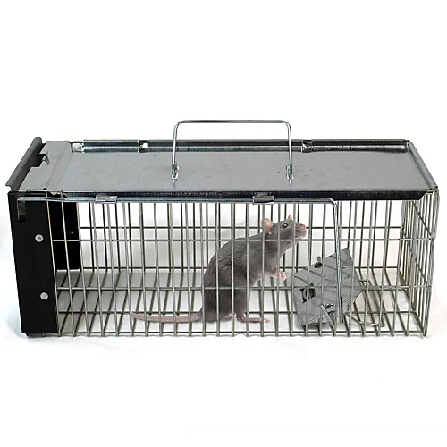 Easipet Humane Animal Trap For Vermine Rat/Squirrel Heavy Duty Metal Catcher 5 Easipet Humane Animal Trap For Vermine Rat/Squirrel Heavy Duty Metal Catcher - Image 3
