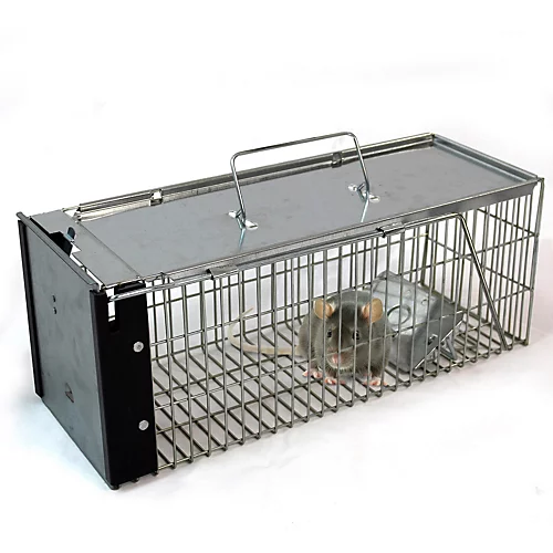 Easipet Humane Animal Trap For Vermine Rat/Squirrel Heavy Duty Metal Catcher 6 Easipet Humane Animal Trap For Vermine Rat/Squirrel Heavy Duty Metal Catcher - Image 4