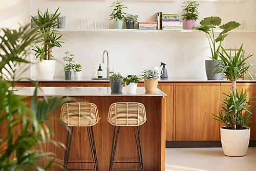 Elho Brussels Round 22cm Plastic Plant Pot In Anthracite 6 Elho Brussels Round 22cm Plastic Plant Pot In Anthracite - Image 4