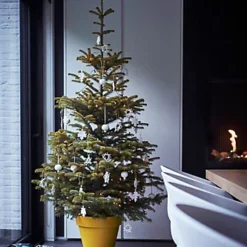 Elho Pure Round 40cm Plastic Plant Pot In Ochre 8 Elho Pure Round 40cm Plastic Plant Pot In Ochre -Draper Tool Shop elho pure round 40cm plastic plant pot in ochre8711904257330 04c MP