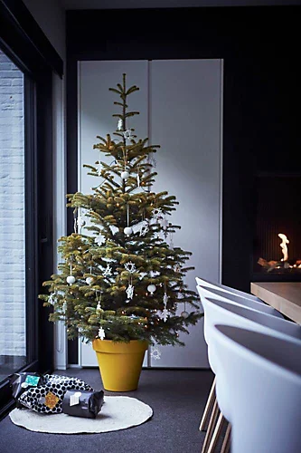 Elho Pure Round 40cm Plastic Plant Pot In Ochre 5 Elho Pure Round 40cm Plastic Plant Pot In Ochre - Image 3