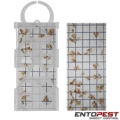 Entopest CCM Pheromone Pads (Tineola Bisselliella) -Draper Tool Shop entopest ccm pheromone pads tineola bisselliella 5060588165800 02c MP