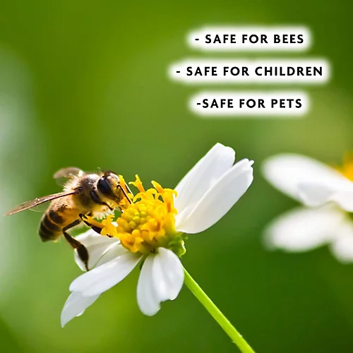 Enviro Works - Rose Protection Defender - 2 X 1L 6 Enviro Works - Rose Protection Defender - 2 X 1L - Image 4