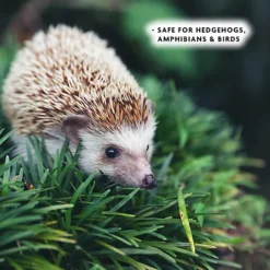 Enviro-works SlugBlast Slug Defence Plant Spray 2 X 1L -Draper Tool Shop enviro works slugblast slug defence plant spray 2 x 1l5060744386865 04c MP