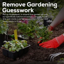 Ericaceous Potting Compost Lime Hating Plants Acidic Soil Rhododendrons - 60L -Draper Tool Shop ericaceous potting compost lime hating plants acidic soil rhododendrons 60l5055521177187 03c MP