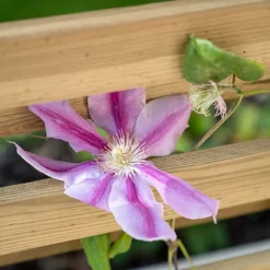 Forest Garden Living Screen Natural Timber Rectangular Planter (H) 180cm X (W) 90cm -Draper Tool Shop forest garden living screen natural timber rectangular planter h 180cm x w 90cm5013053190227 02i