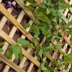 Forest Garden Trellis Natural Timber Rectangular Planter (H) 137cm X (W) 80cm -Draper Tool Shop forest garden trellis natural timber rectangular planter h 137cm x w 80cm5013053190616 02i