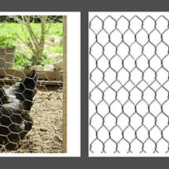 Galvanised Chicken Wire Mesh Rabbit Run Chicken Coop Fencing 5M X 0.6M X 13MM -Draper Tool Shop galvanised chicken wire mesh rabbit run chicken coop fencing 5m x 0 6m x 13mm5017193273598 03c MP